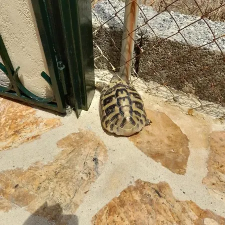 Hébergement de vacances Tsanta House Agios Gordios (Corfu)