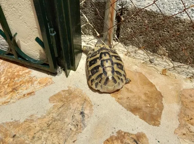 Prázdninový dům Tsanta House Agios Gordios (Corfu)